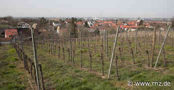 Hirschberg: Auf der Fläche "Büttemer Weg" könnte die Gemeinde noch wachsen - Rhein-Neckar Zeitung