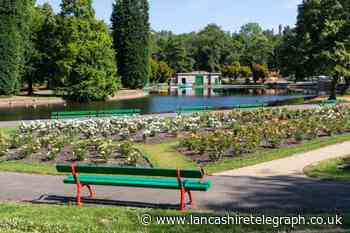 6 Burnley parks to get coronavirus memory trees