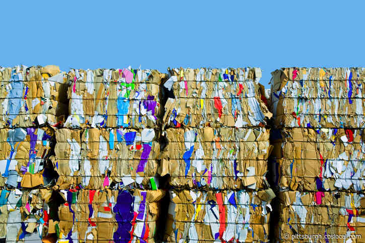 Reducing Your Environmental Footprint: How To Reuse, Recycle, Repurpose
