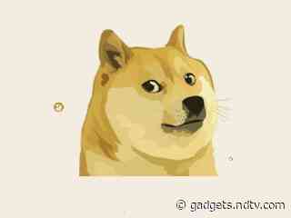 Dogecoin Cryptocurrency Price Slumps After Hashtag-Fuelled Surge to Record High