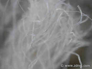 Oppo Find X3 Pro camera deep dive: Microscope mode offers unique shooting experience