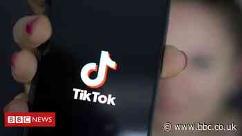 TikTok loophole sees users post pornographic and violent videos