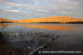 Educational campaign about shoreline protection is underway | Bancroft this Week - Bancroft This Week