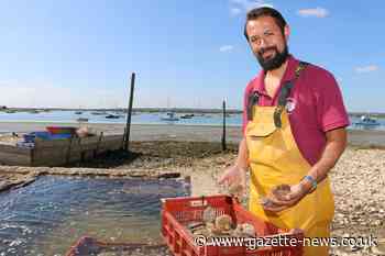 Changes to EU regulations are another setback for Mersea's oyster fishing industry