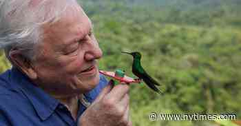 Choose Your Earth Day Guide: David, Greta … Cher?