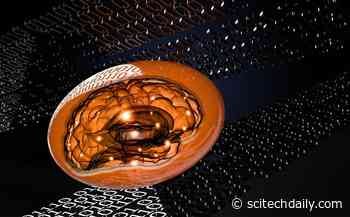 Soft, Mechanical Metamaterial That Can “Think” Offers Potential of Helpful “Living” Machines in the Future