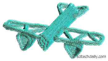 MagicDNA: Tiny, Complex DNA Robots Designed in Minutes Instead of Days