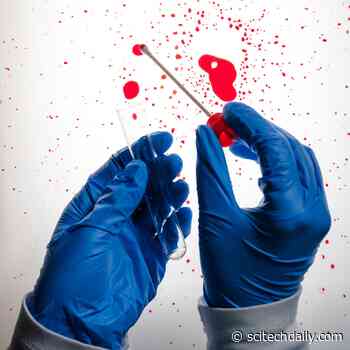 Blood Forensics Puzzle Cracked via Fluid Mechanical Principles