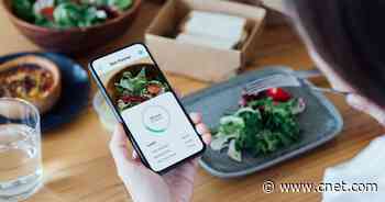 Best weight loss programs for 2021     - CNET