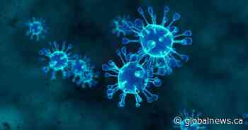 COVID-19: 231 new infections, 4 new deaths reported in Saskatchewan