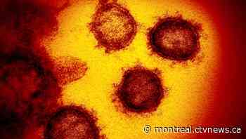 Indian coronavirus variant positive case confirmed in Quebec, first in - CTV Montreal