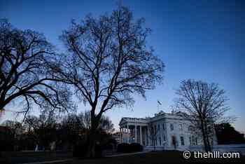 Ricchetti, brother of Biden counselor, lobbied the White House on health care issues in first quarter