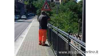 Taglio dell’erba e manutenzione: individuate le ditte - Il Resto del Carlino