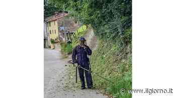 Appalto da 200mila euro Partiti i tagli dell’erba - IL GIORNO