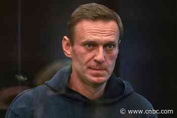 UN experts say Putin critic Navalny in 'serious danger,' call for urgent medical evacuation - CNBC