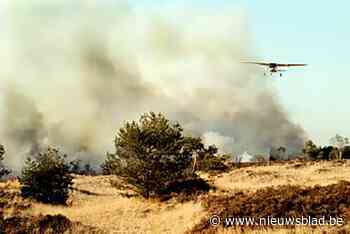 25 jaar geleden stond Kalmthoutse Heide in brand: 2 weken blussen, 450 hectare in de as