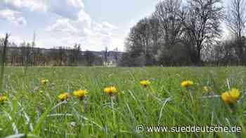 Landkreis Starnberg: Aufgeheizte Stimmung wegen Klinik - Süddeutsche Zeitung