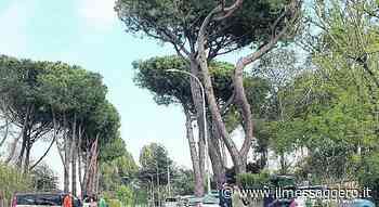 Muore travolto dal trattore mentre taglia l'erba - Il Messaggero