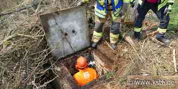 Lohmar: Feuerwehr rettet verirrten Hund aus einem Schacht - Kölner Stadt-Anzeiger