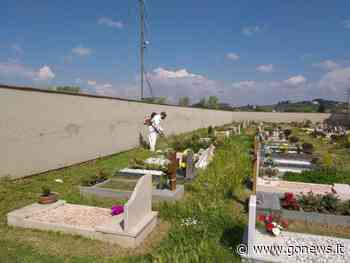 Taglio erba nelle scuole e nei cimiteri, interventi programmati a Empoli - gonews