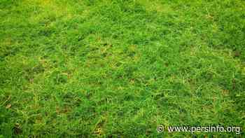 Halle en Herne werken mee aan proefproject rond circulair bermmaaisel - Persinfo.org