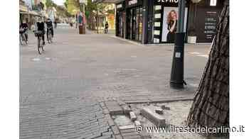 "Tutto fermo in viale Ceccarini: i turisti troveranno degrado" - il Resto del Carlino