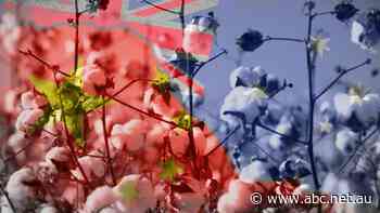 China trade retaliation fears as Australia tears up Victoria's Belt and Road deal