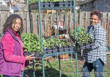 The 'Soil Sisters' are growing a future in their grandparents' neighborhood