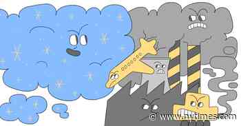 50 Things You Can Do for the Earth Right Now