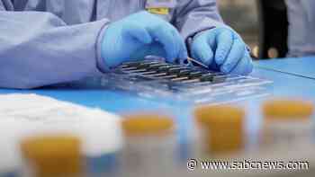 SA records 1 569 new coronavirus infections in the last 24-hour cycle - SABC News