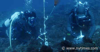 ‘8 Billion Angels’ Review: Giving Earth Top Billing