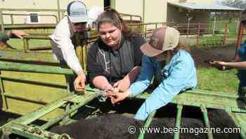 Oregon initiative would ban animal slaughter, breeding
