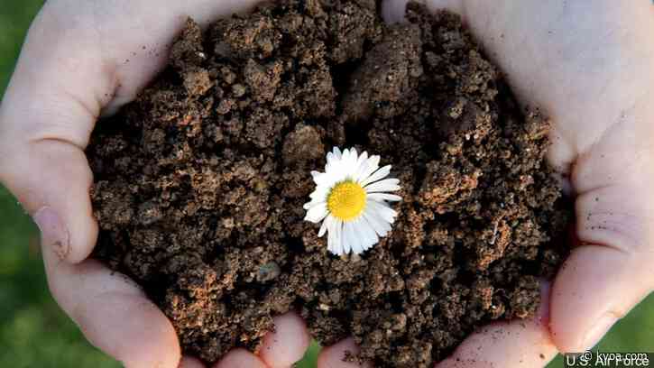 Local mayors partner up to launch ‘Earth Day AZ’
