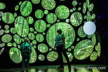 USA Today's Reader's Choice nominates Houston attractions 7 times - Chron