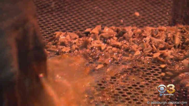 Cheesesteaks, French Fries To Power Philadelphia? New Partnership Turning Restaurant Grease Into Green Energy