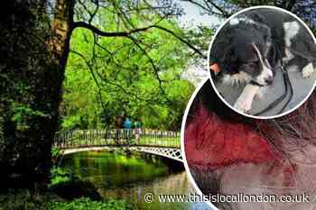 Merton woman describes horror dog attack at Morden Hall Park