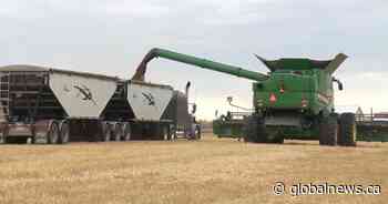 Prairie NDP leaders urge respective governments to sign AgriStability proposal in full