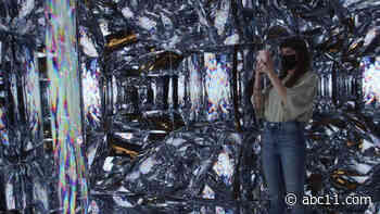 World's 1st immersive NFT installation connects digital, physical space