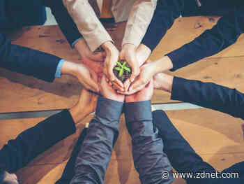 Future-fit tech leaders must make sustainability a top priority