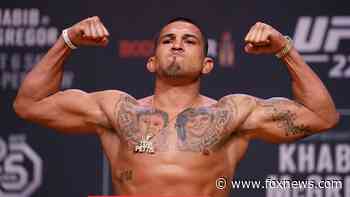 Unlock the cage: Fight promotion returns after year break