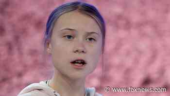 Greta Thunberg tells House panel fossil fuel subsidies are a 'disgrace'