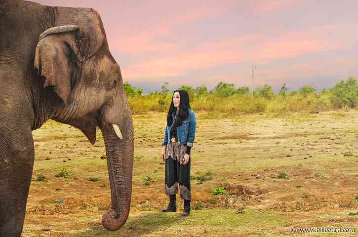 How to Watch ‘Cher & the Loneliest Elephant’