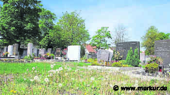 Profis helfen Bauhofmitarbeitern bei der Pflege der Friedhöfe - Merkur Online