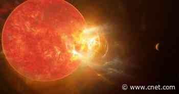 Massive flare recorded from Proxima Centauri, our star next door     - CNET