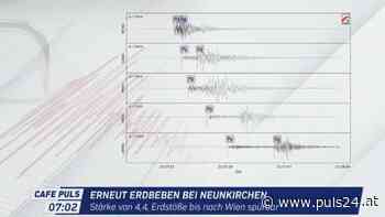 Erneut Erdbeben bei Neunkirchen - PULS 24