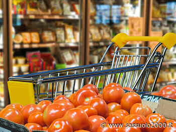 300 euro di spesa non pagata, 47enne denunciata a Soliera - sassuolo2000.it - SASSUOLO NOTIZIE - SASSUOLO 2000