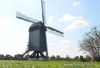 Huisekoutermolen voor één keer ‘s nachts verlicht: “Eindelijk kunnen we nachtmalen”