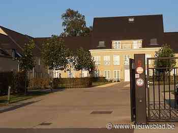 Cannabisplantage met vierhonderd plantjes aangetroffen op woonerf - Het Nieuwsblad