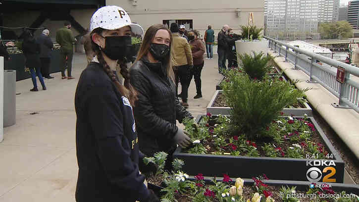 Pirates And Duquesne Light Reopen Urban Garden At PNC Park