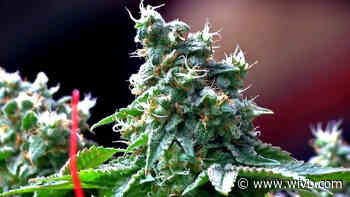 Peoples-Stokes says people with low-level marijuana convictions can now get a clean slate